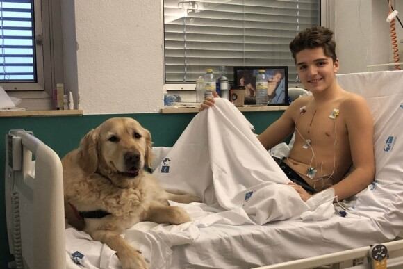 Zenit, el perro terapista que brinda servicio en el Hospital 12 de Octubre de Madrid