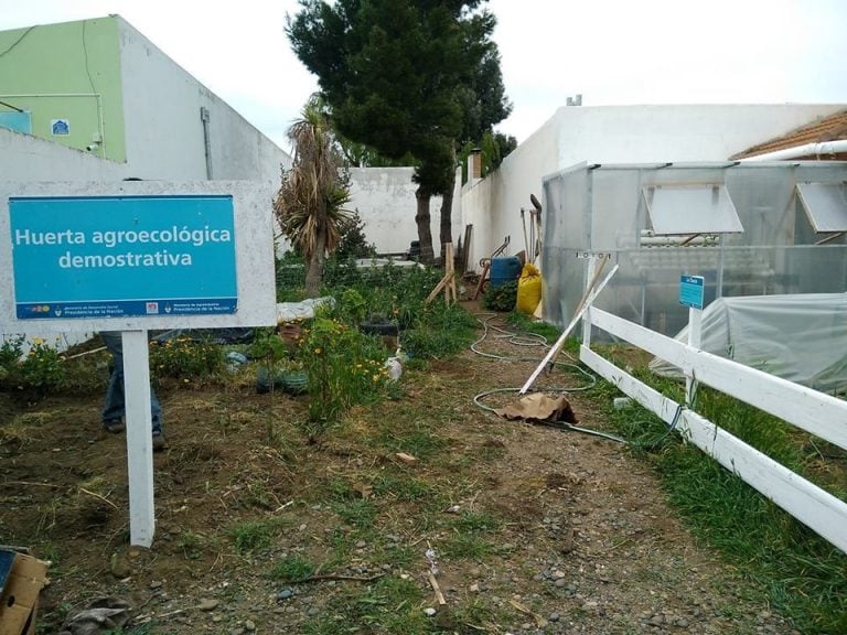 Caleta Inta huerta agroecológica