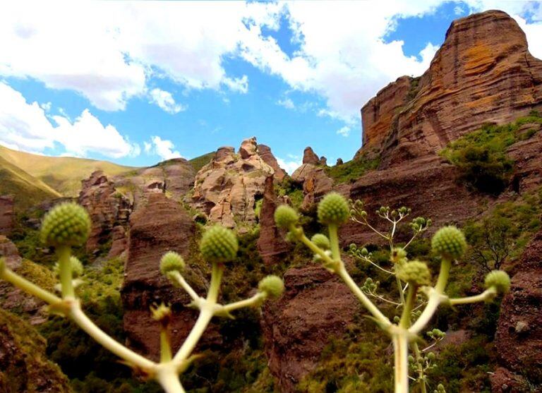 Los terrones