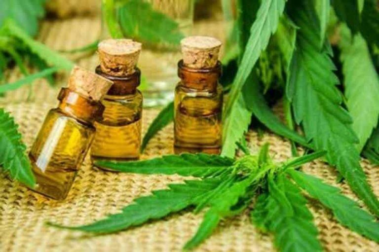 Proyecto de aceite de cannabis