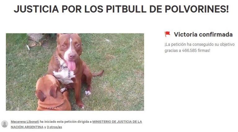 La campaña organizada en Change.org para evitar el sacrificio de los Pitbull.