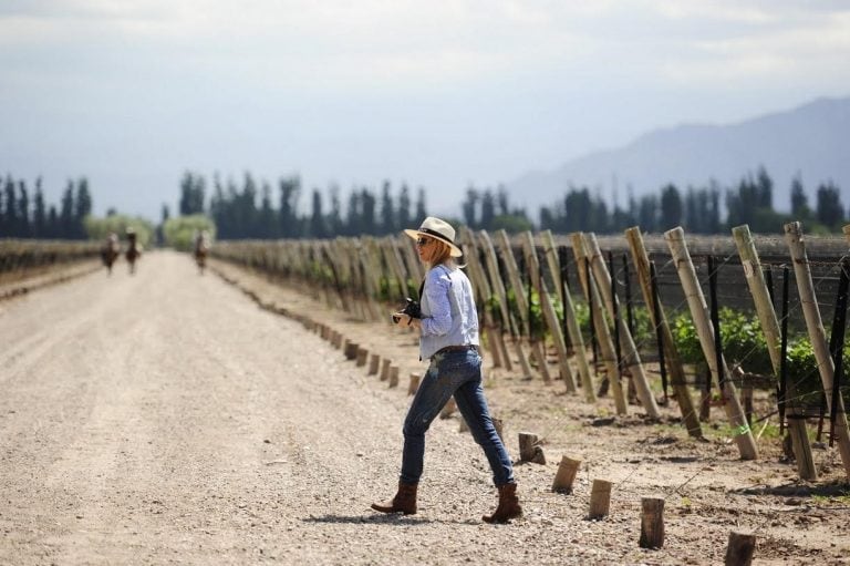 el enoturismo es un fuerte atractivo de Mendoza.