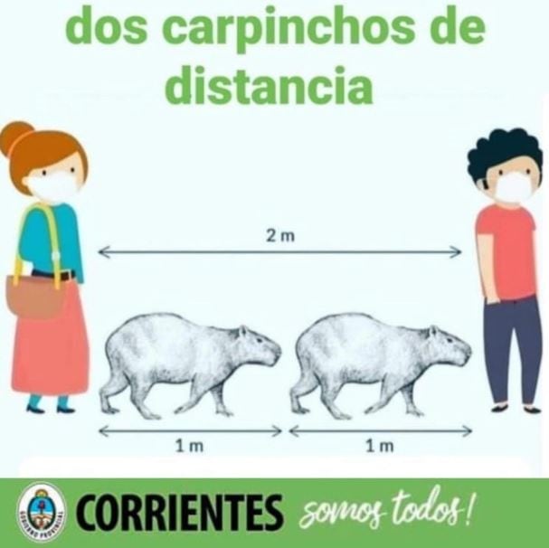 Dos carpinchos de distancia (Twitter)