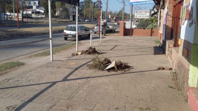 Macetas destrozadas en la vereda del salón de danzas. Foto: Ángeles Poretti