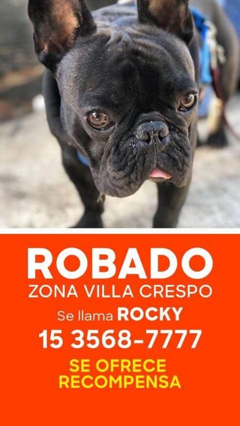 Aviso de recompensa por Rocky.