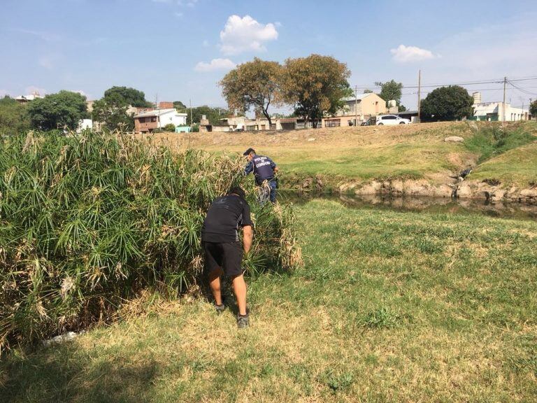 Vecinos de la zona avistaron un puma adulto, pero la Policía no pudo encontrar al felino.