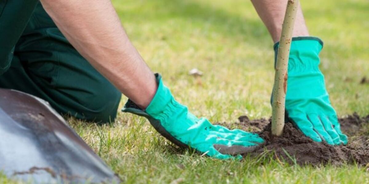 Villa Fontana: lanzaron el programa de forestación "Ecomascota"