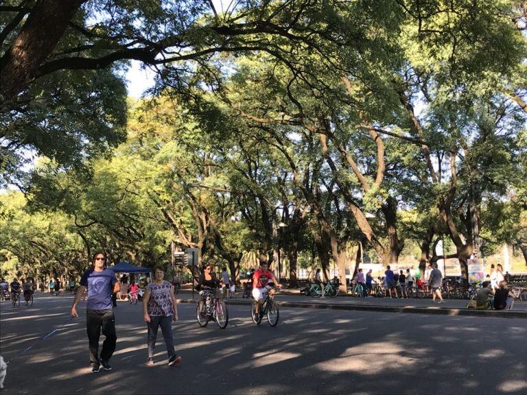 Calle Recreativa en el Parque de la Independencia. (@DomingoPA1230)