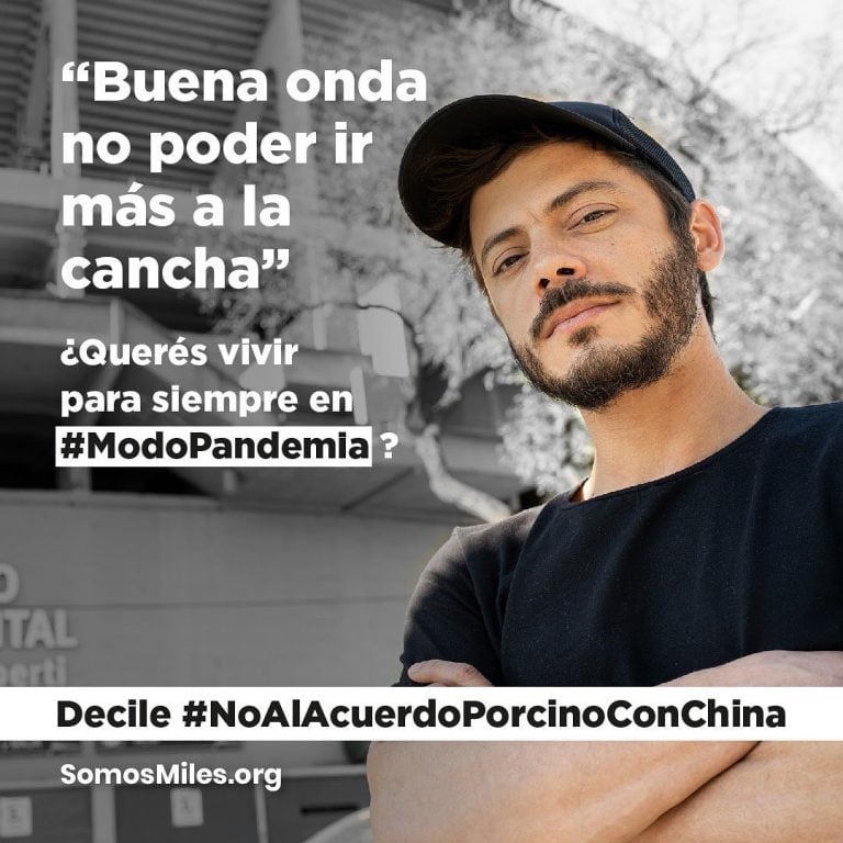 #ModoPandemia: la iniciativa que busca frenar el acuerdo porcino con China que promueven los famosos (Foto: Instagram @somosmilesorg)