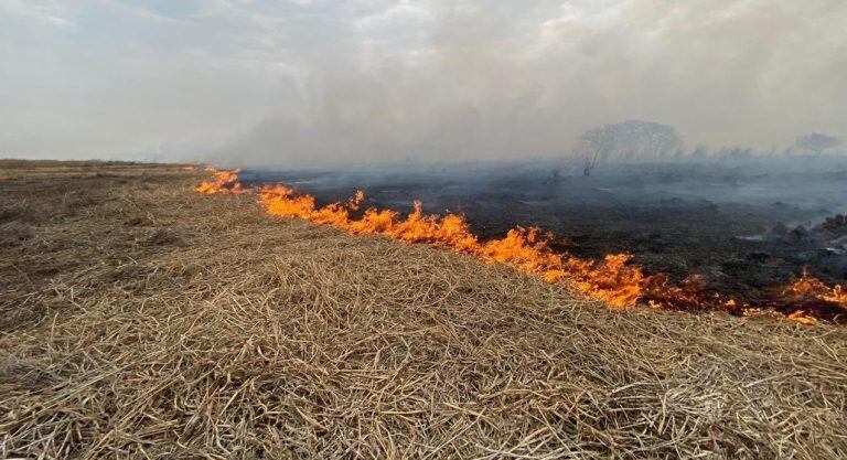 Fuerzas de seguridad provinciales y federales fueron desplegadas en las islas del Delta del Paraná por los incendios frente a Rosario. (@gustavozignago)