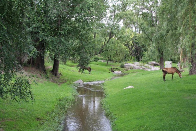 Arroyo Chicamtoltina, Alta Gracia.