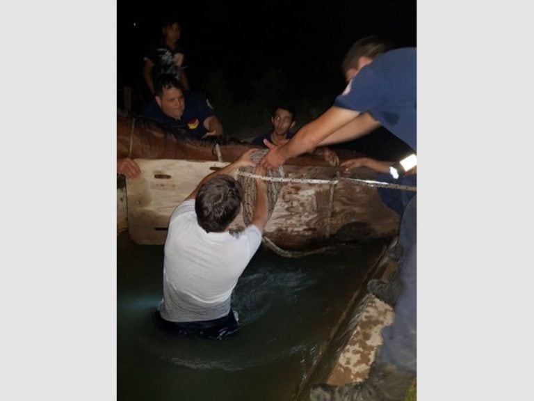 Rescatan a yegua en canal de San Juan