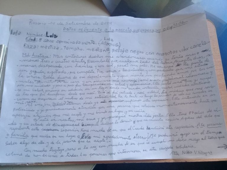 Una abuela internada escribió una conmovedora carta pidiendo que adopten a su mascota