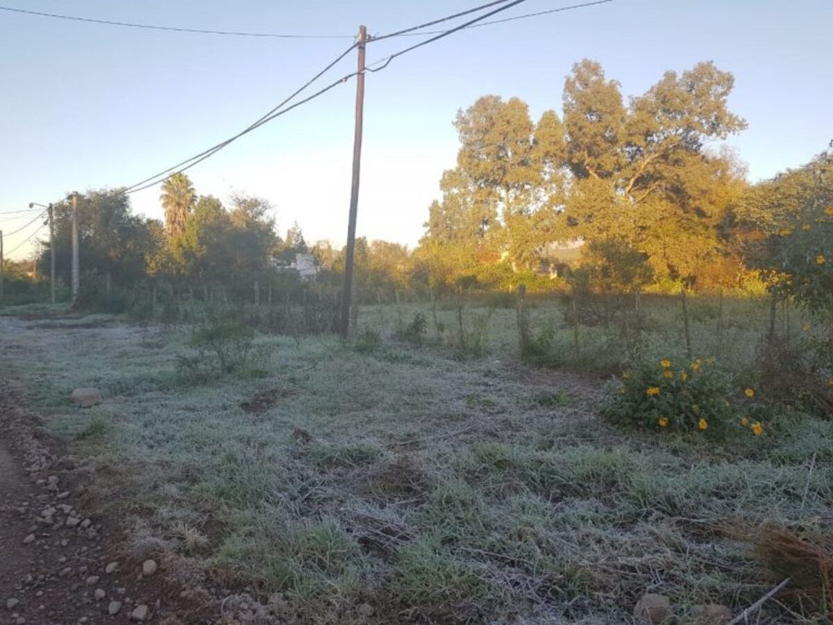 Clima en Salta: cómo estará el tiempo el fin de semana