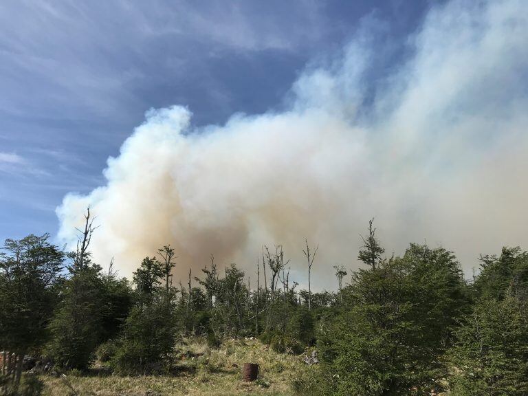 Columna de humo en la empresa Lenga Patagonia S.A. Tolhuin, Tierra del Fuego