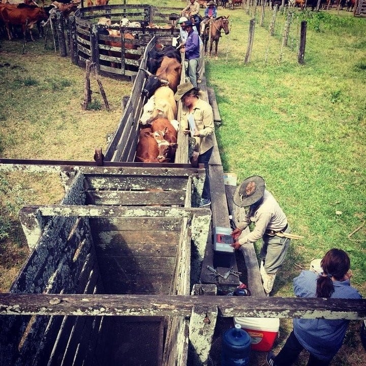 Una productora chaqueña dejó la oficina y se dedicó a manejar la empresa familiar