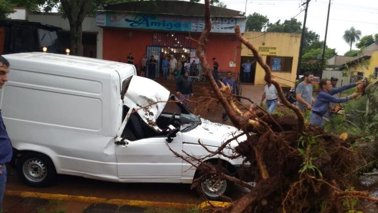 Por la tormenta un árbol cayó sobre un Fiat Fiorino en Apóstoles. No hubo heridos.