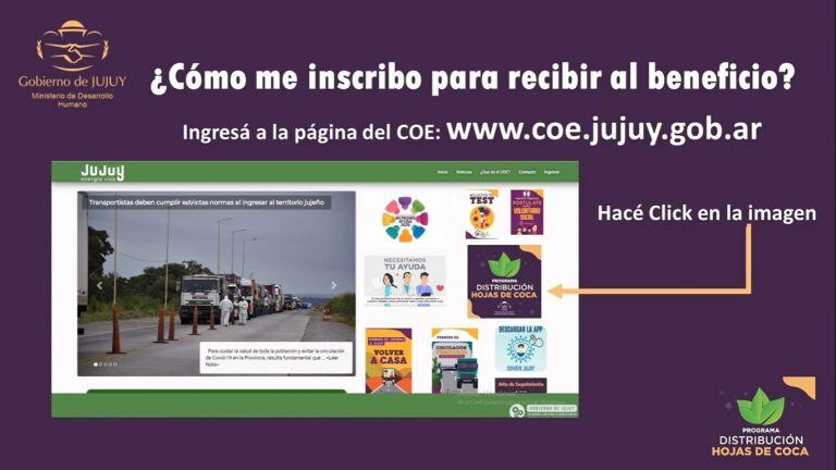 Los interesados en acceder a la entrega gratuita de coca deben completar un formulario on line.