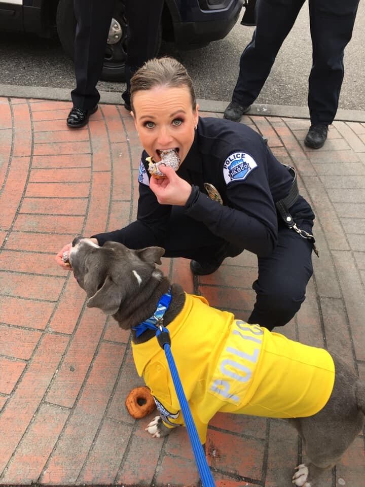 Eddie, el perro Pitbull con cáncer terminal al que convirtieron en policía.