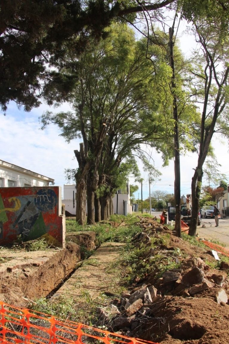 Obras en distintas escuelas de Tres Arroyos