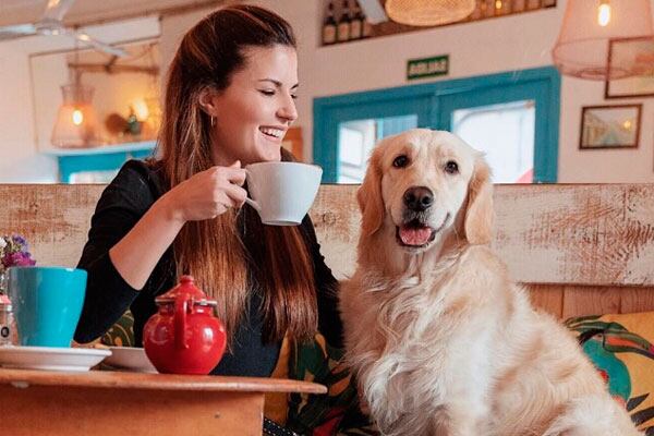 Rosario tiene muchos establecimientos pet friendly.