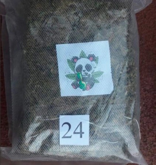 Capioví: incautan marihuana en encomiendas con logos de un panda.