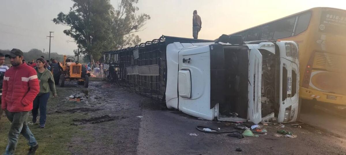 Un camionero volcó en Calchaquí y carnearon a las vacas en plena ruta 11