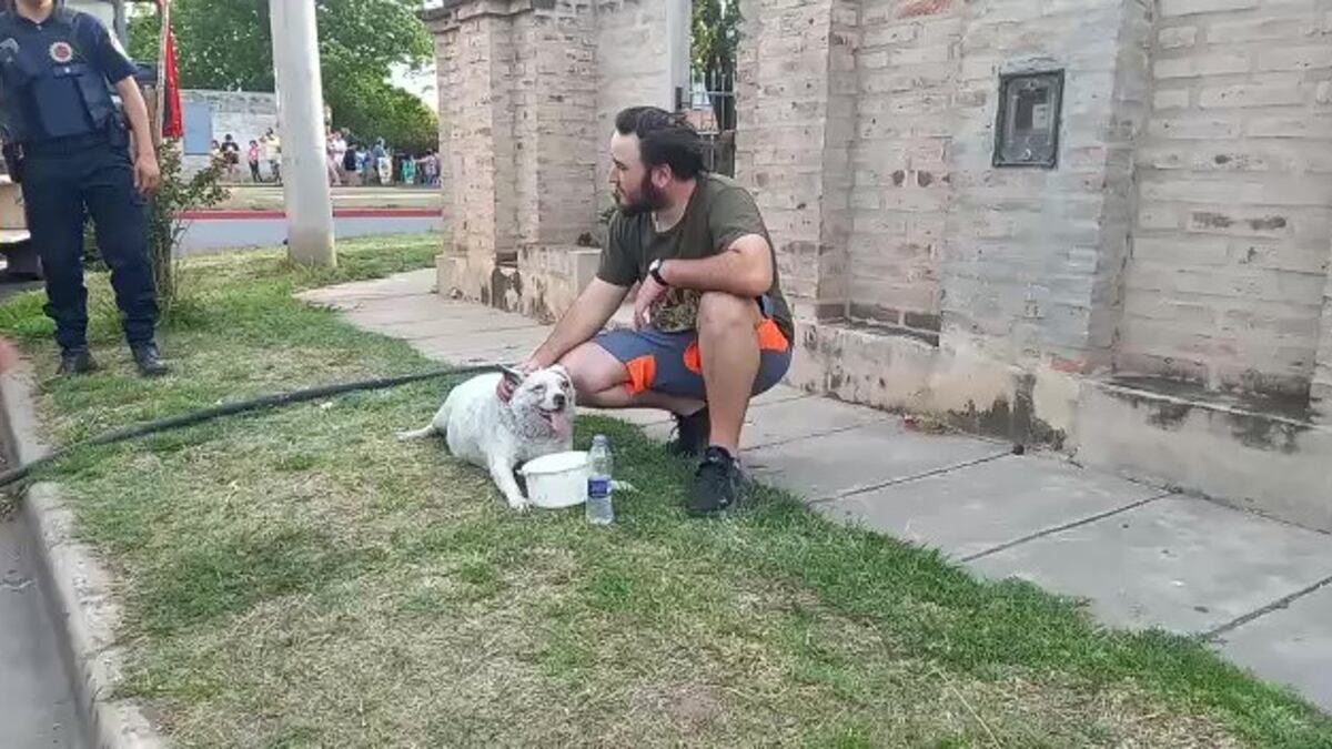 Video estremecedor: bomberos salvaron a un perro de un voraz incendio en Córdoba