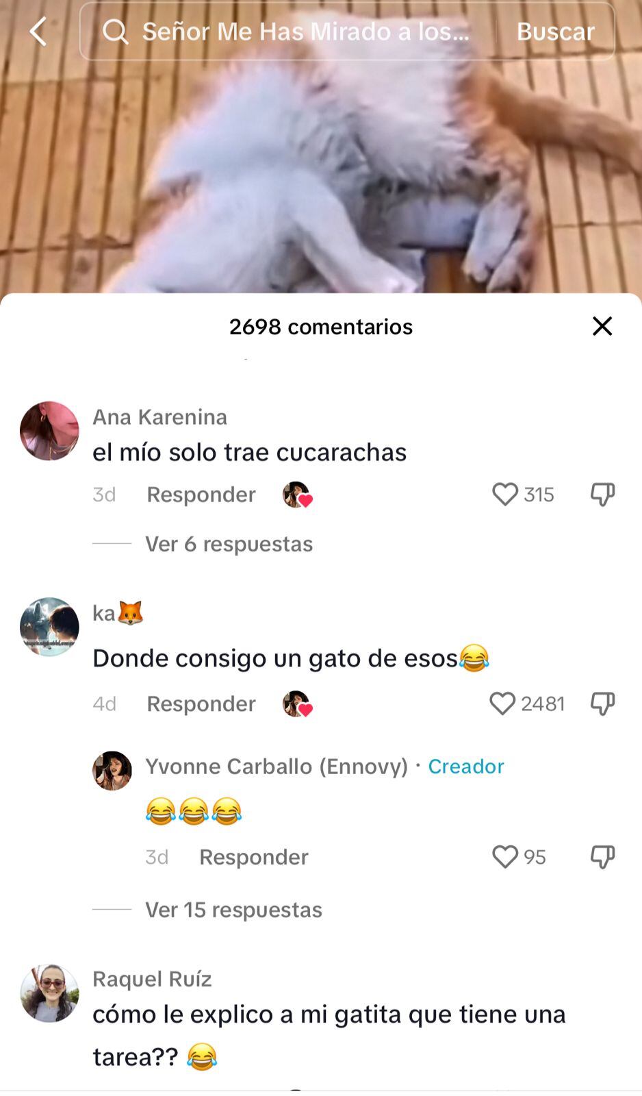 Los comentarios de los usuarios.