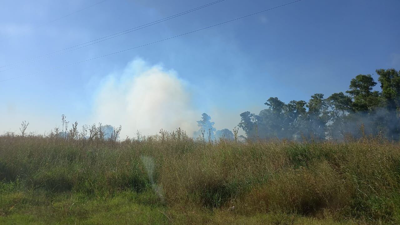 Incendio forestal en el barrio Talleres Nuevos de Pérez