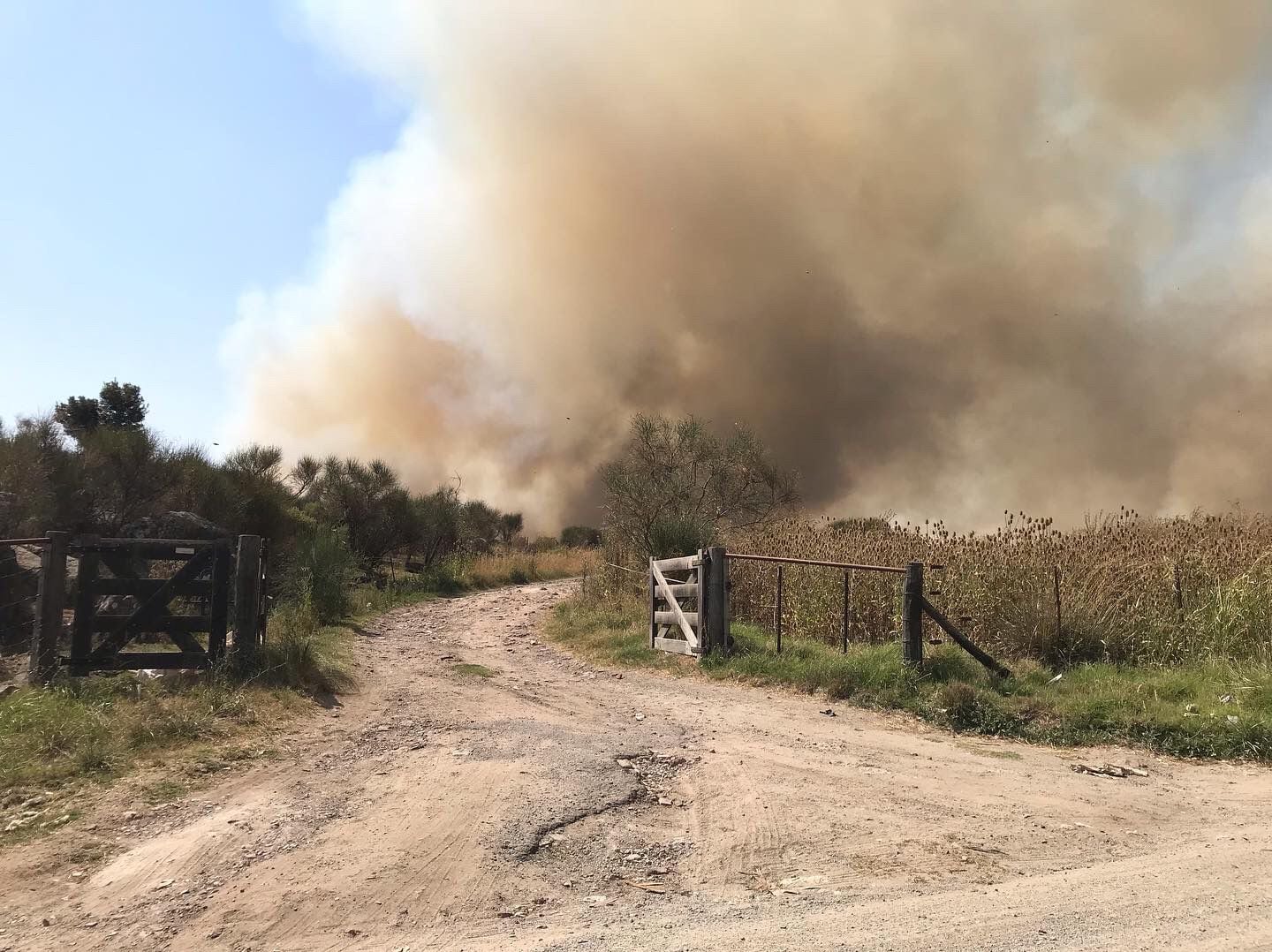 Así se produjeron las llamas en Tandil