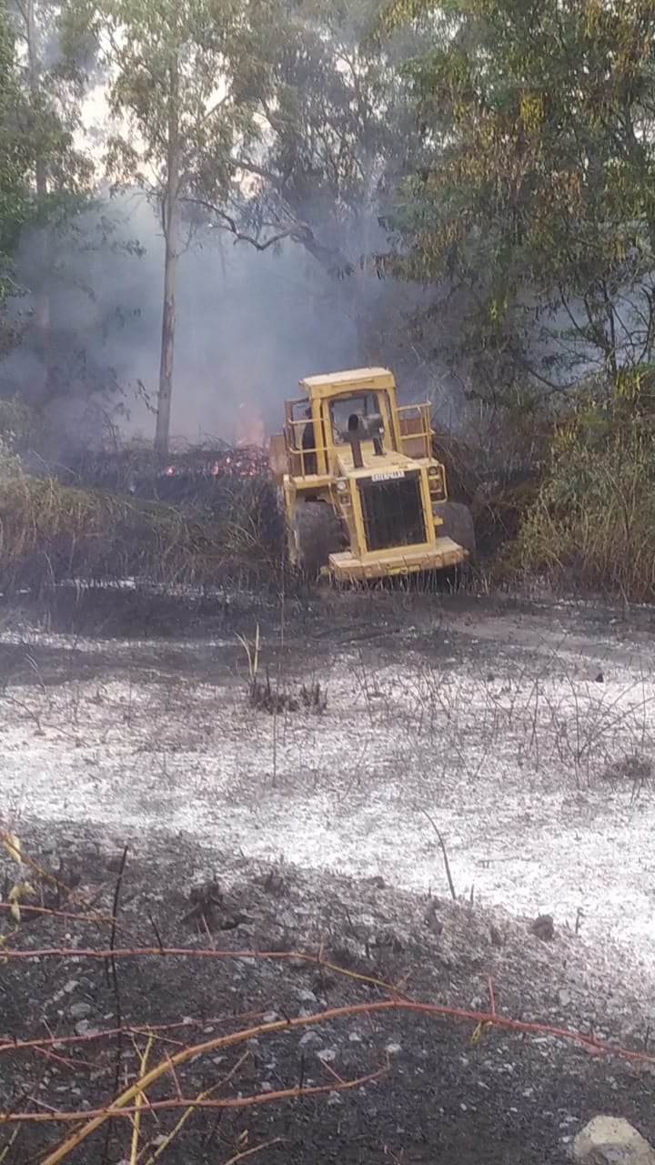 Así fueron las llamas en Tandil