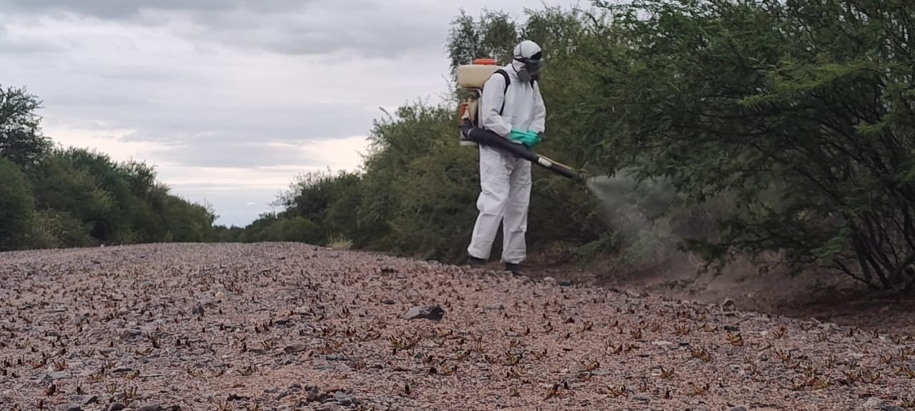 Operativo en campos al norte de la provincia de Córdoba.