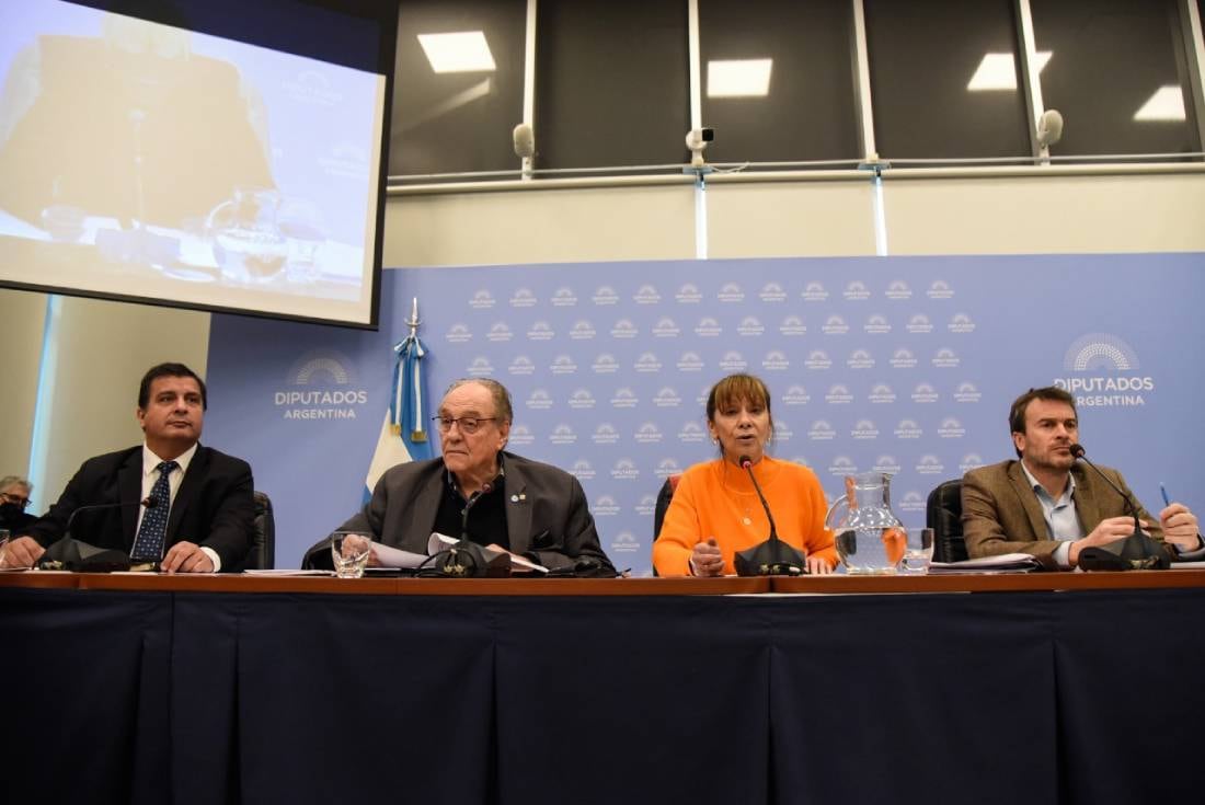 Los diputados Casaretto, Heller, Aparicio y Nieri, autoridades de las comisiones de Presupuesto y Finanzas serán los primeros en tratar el proyecto impulsado por Sergio Massa. (Foto: HCDN)