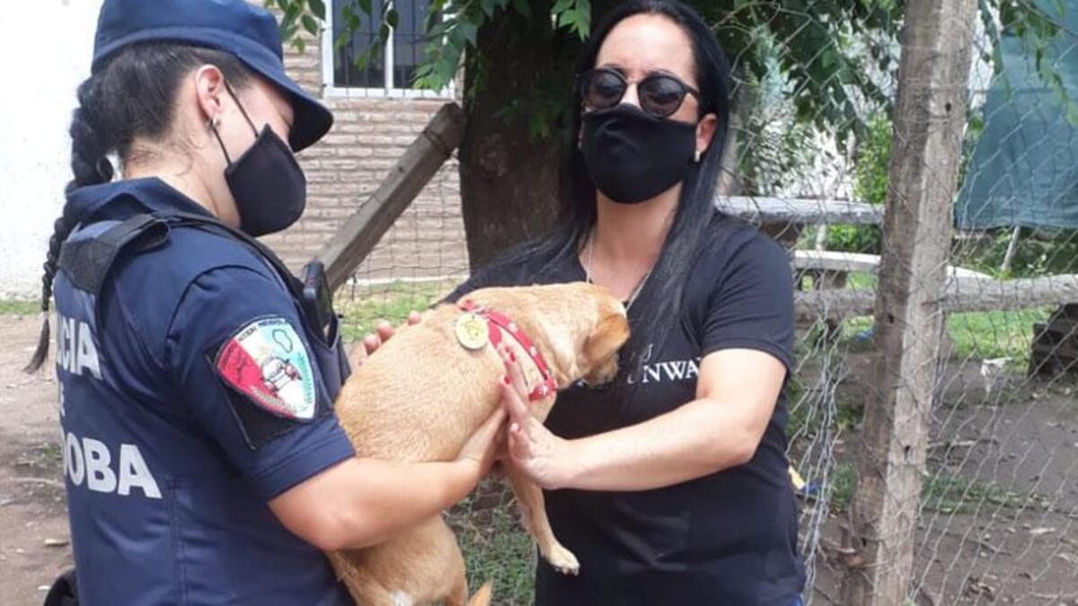 Le robaron el auto en La Calera, con el perro adentro