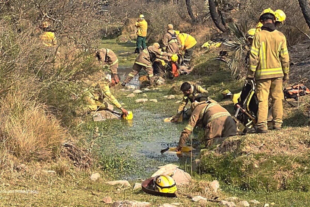 Fuego en las sierras de Córdoba: se quemaron unas 30.000 hectáreas, en el Norte