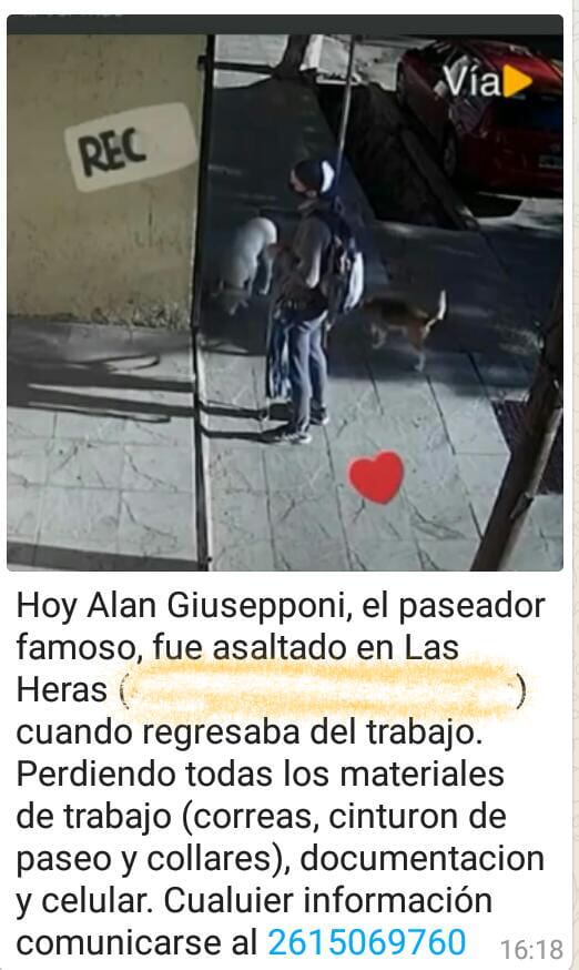 Asaltaron a Alan, el famoso paseador de perros mendocino