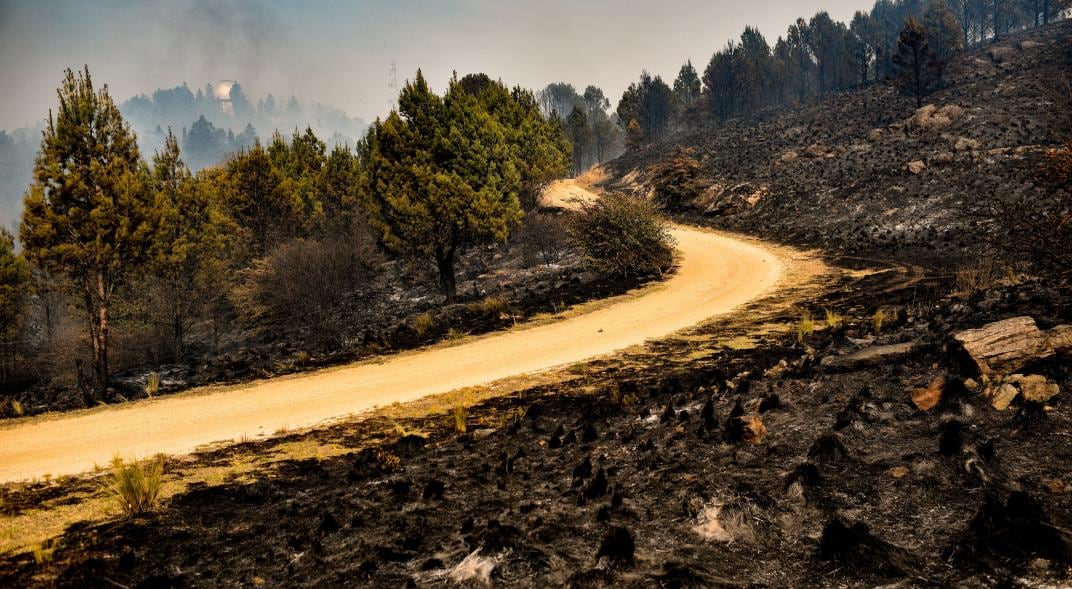 INCENDIOS EN FALDA DEL CARMEN Y BOSQUE ALEGRE. (Pedro Castillo / La Voz).