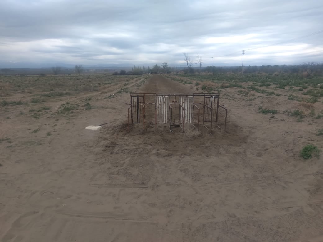 Policías dieron cuenta de la carrera de galgos clandestina en Tupungato.