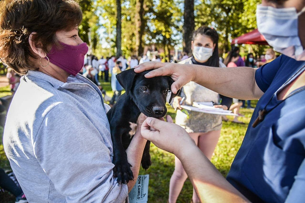 Operativo sanitario animal en Eldorado.