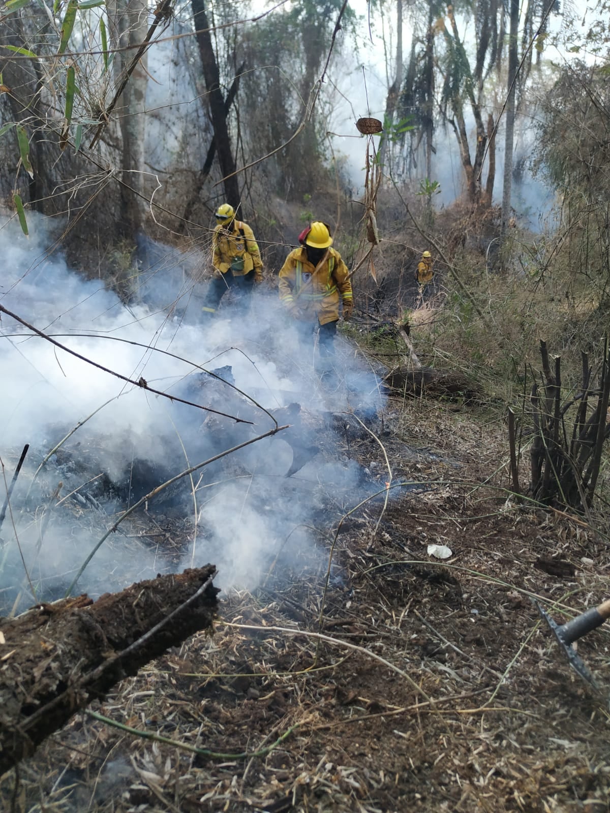 Ricardo Galván, el bombero voluntario rafaelino que combate el fuego en Misiones