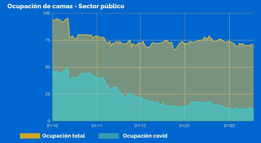 Ocupación de camas públicas en Rosario al 19 de febrero (Municipalidad de Rosario)