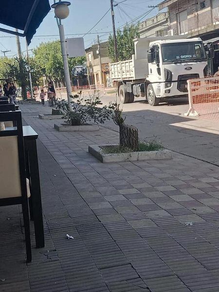 Vecinos de Pérez estallaron de ira por la poda de árboles de calle Morelli