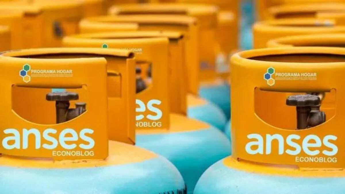 ANSES: cuáles son los requisitos del Programa Hogar y cómo acceder
