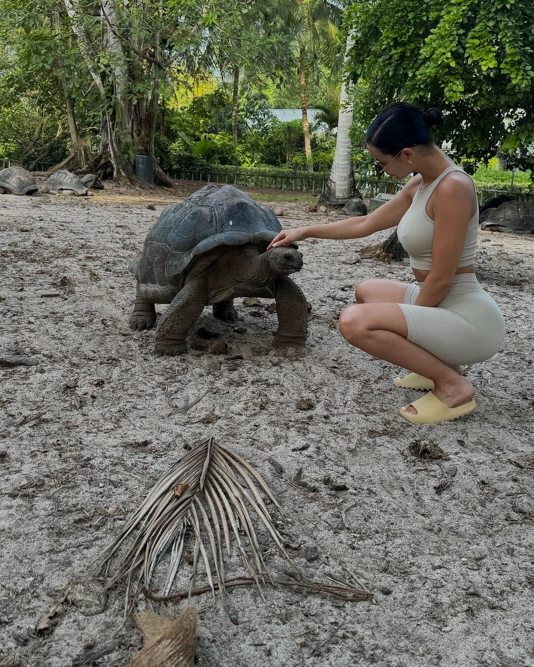 Reapareció María del Mar Molar, la ex de Matías Alé, con un look ultra hot desde las Islas Seychelles