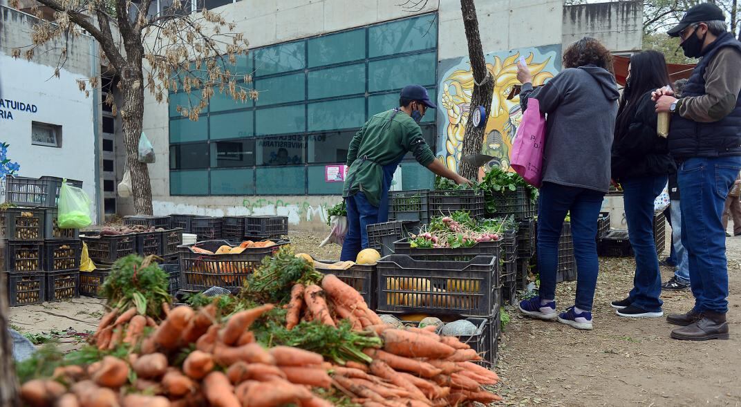 Feria Agroecológica los sábados en la Ciudad Universitaria. (José Hernández)