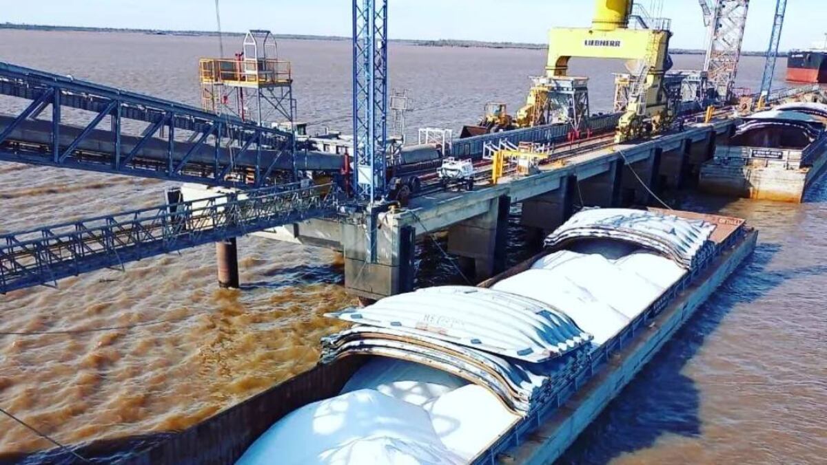 Robo multimillonario a Cofco: detienen a 11 presuntos integrantes de una banda
