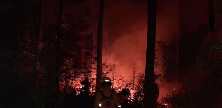 Más de una hectárea consumida por el fuego en un pinar de Picada 24.