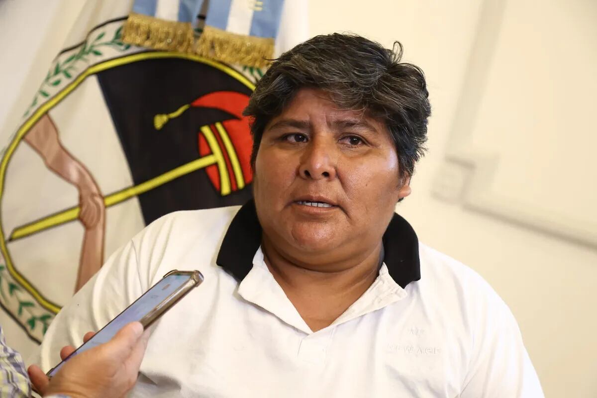 "Se llenaron de agua las casas, no hubo tiempo para resguardarse ni sacar las cosas", relató la vecina María Guerrero.