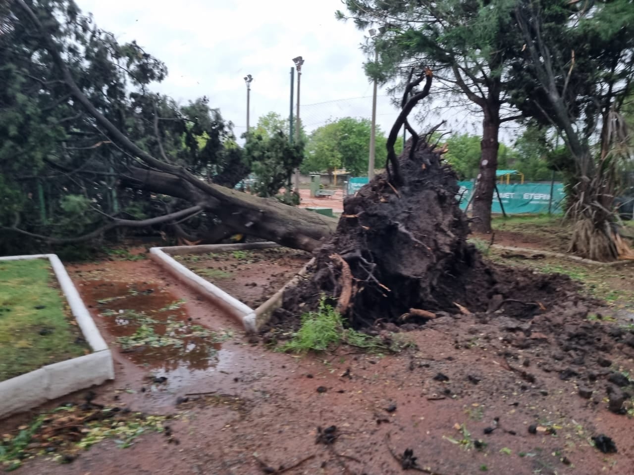 Destrozos a causa del temporal